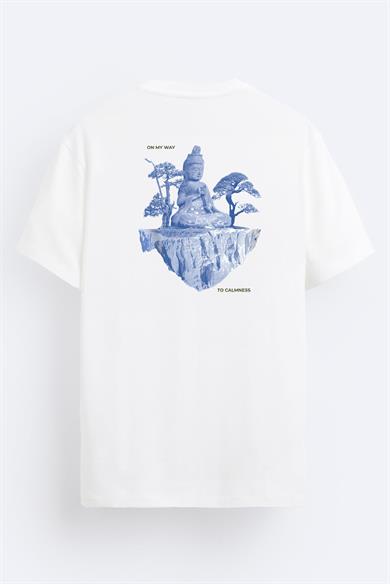 BRZ Collection Unisex FloatingIsland Buddah Regular Fit T-shirt
