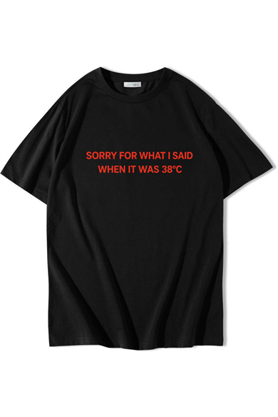 BRZ Collection Unisex Oversize Sorry For What I Said When It Was 38°C T-shirt Siyah