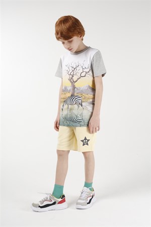 BRZ Kids Baskılı Erkek Çocuk Kısa Kollu T-shirt