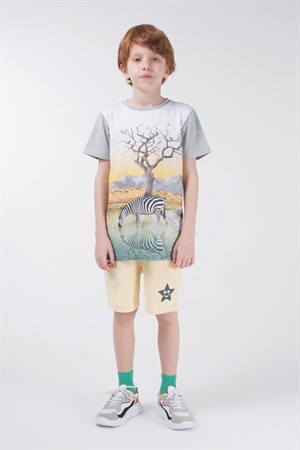 BRZ Kids Baskılı Erkek Çocuk Şort