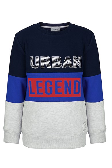 BRZ Kids Baskılı Erkek Çocuk Sweatshirt