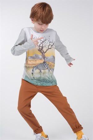 BRZ Kids Baskılı Erkek Çocuk Uzun Kollu T-shirt