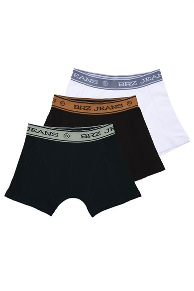 BRZ Kids Erkek Çocuk 3Lü Boxer Set