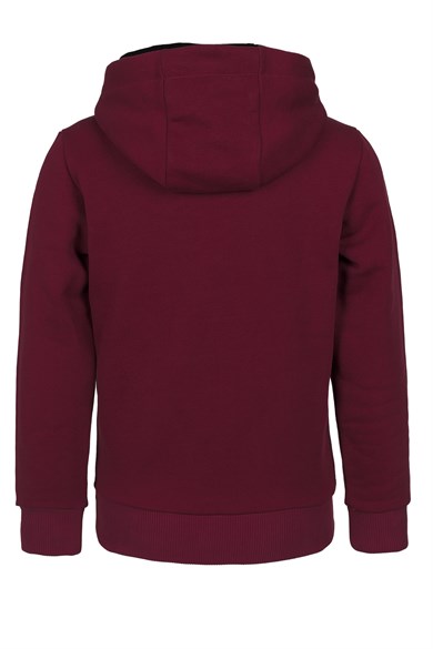 BRZ Kids Kaplan Baskılı Erkek Çocuk Kapüşonlu Sweatshirt