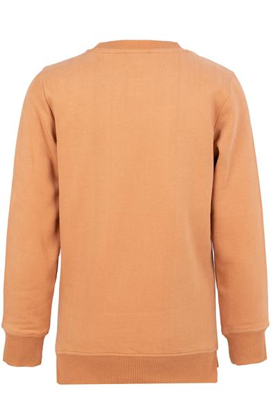 BRZ Kids Baskılı Unisex Çocuk Sweatshirt 