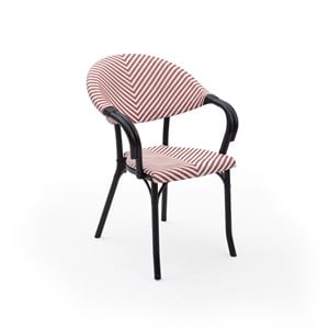 Flash-N Polipropilen Kollu Sandalye - Siyah İskelet