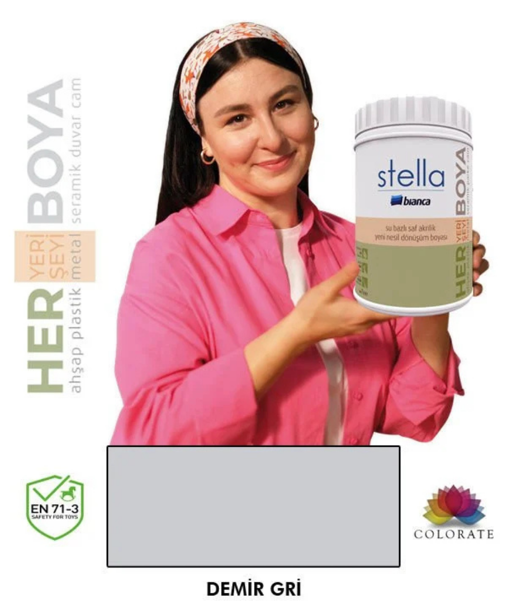 Bianca Stella Su Bazlı Boya Demir Gri