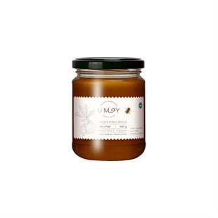 UMAY Organic Chestnut Honey 480g - Baqqalia.com - The Best Shop to Buy Turkish Food and Products - Worldwide Free Shipping for Every Order Above 100 USD