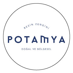 Potamya