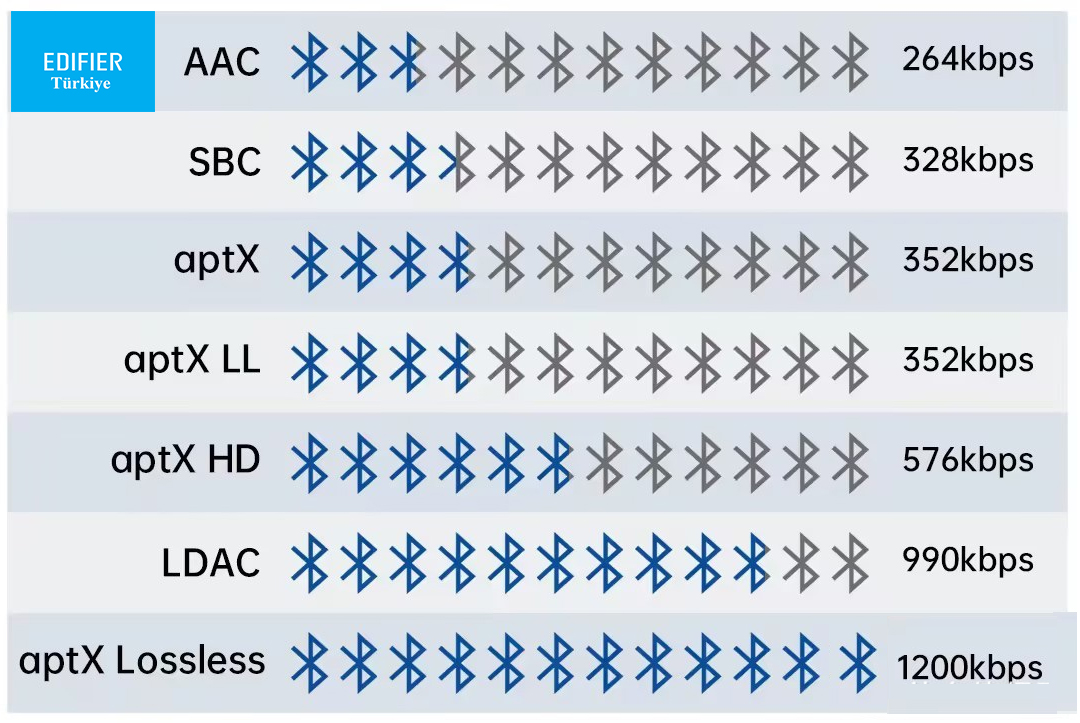 Ses Codec