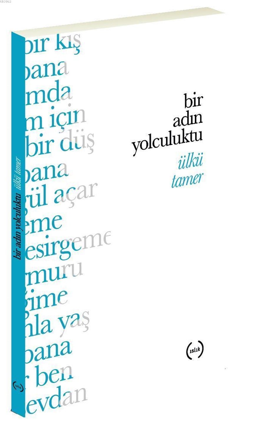 Bir Adın Yolculuktu