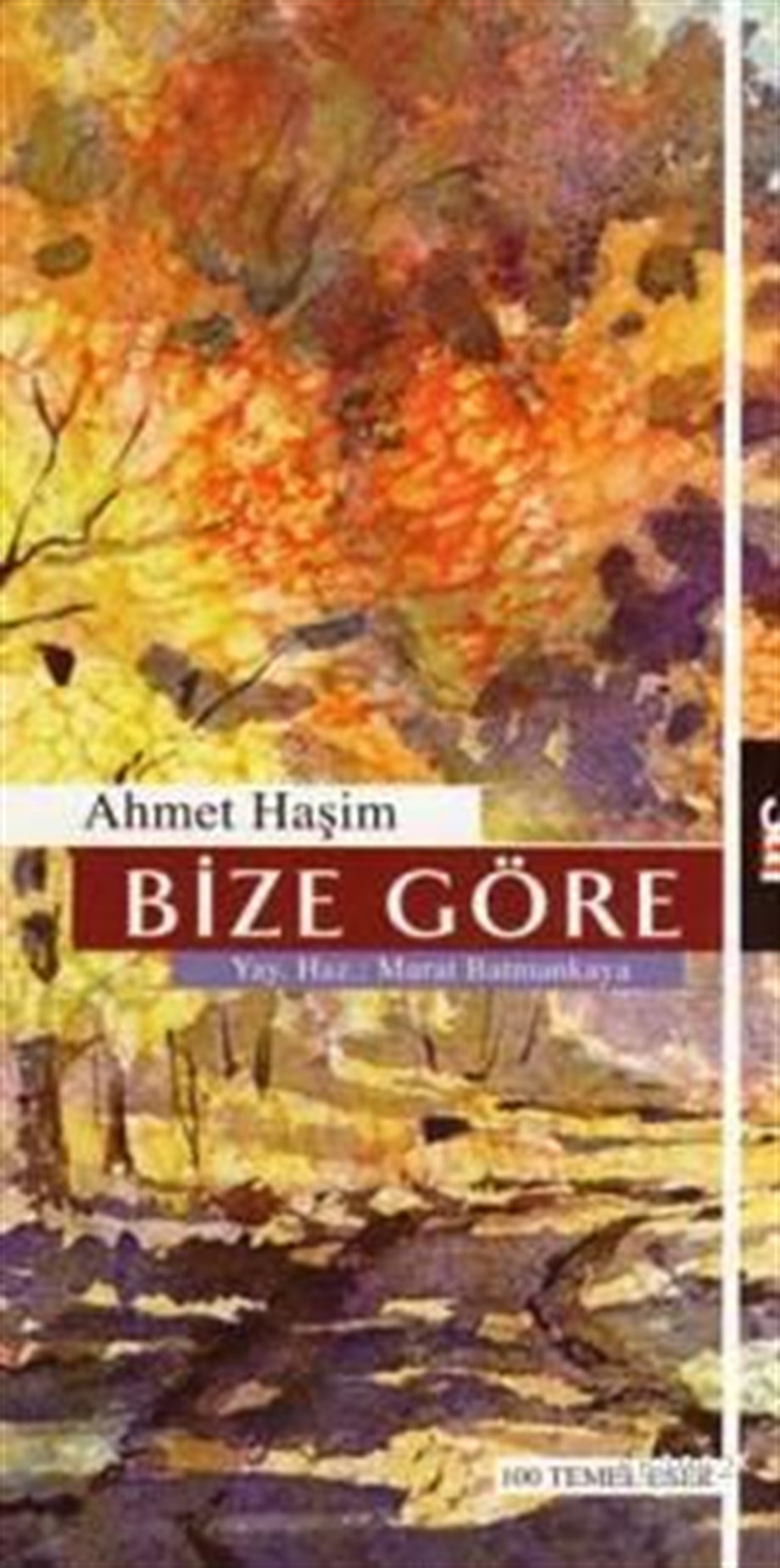 Bize Göre 