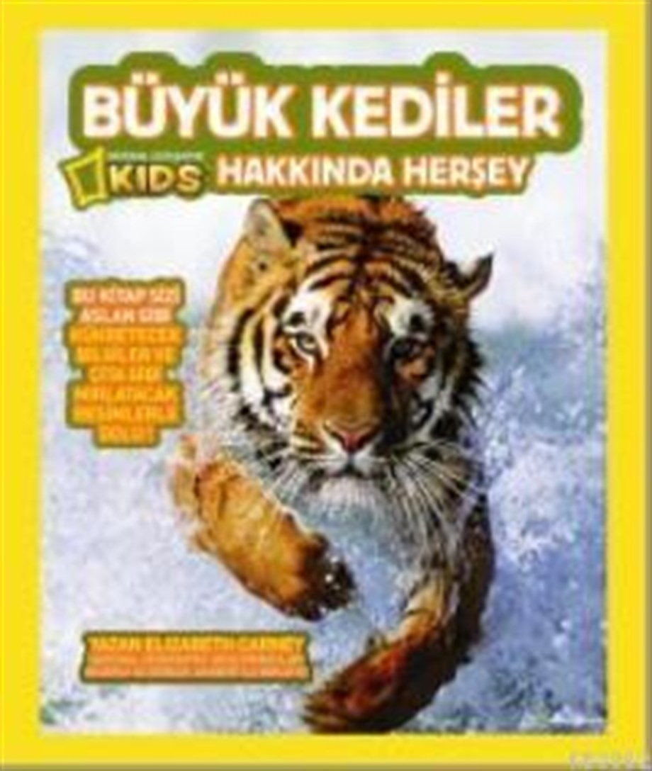 Büyük Kediler Hakkında Her Şey