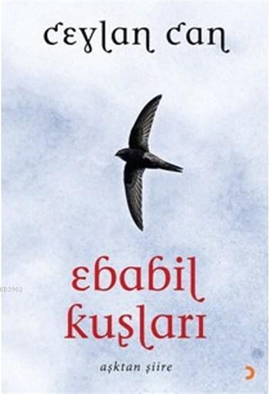 Ebabil Kuşları; Aşktan Şiire
