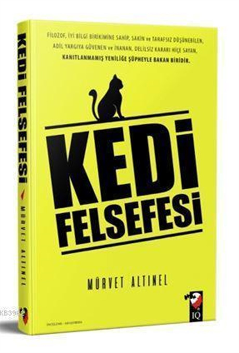 Kedi Felsefesi