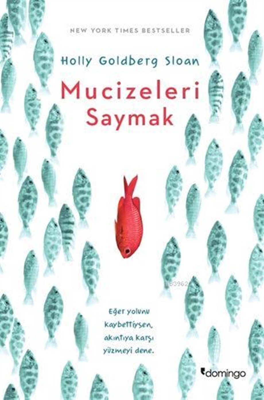 Mucizeleri Saymak
