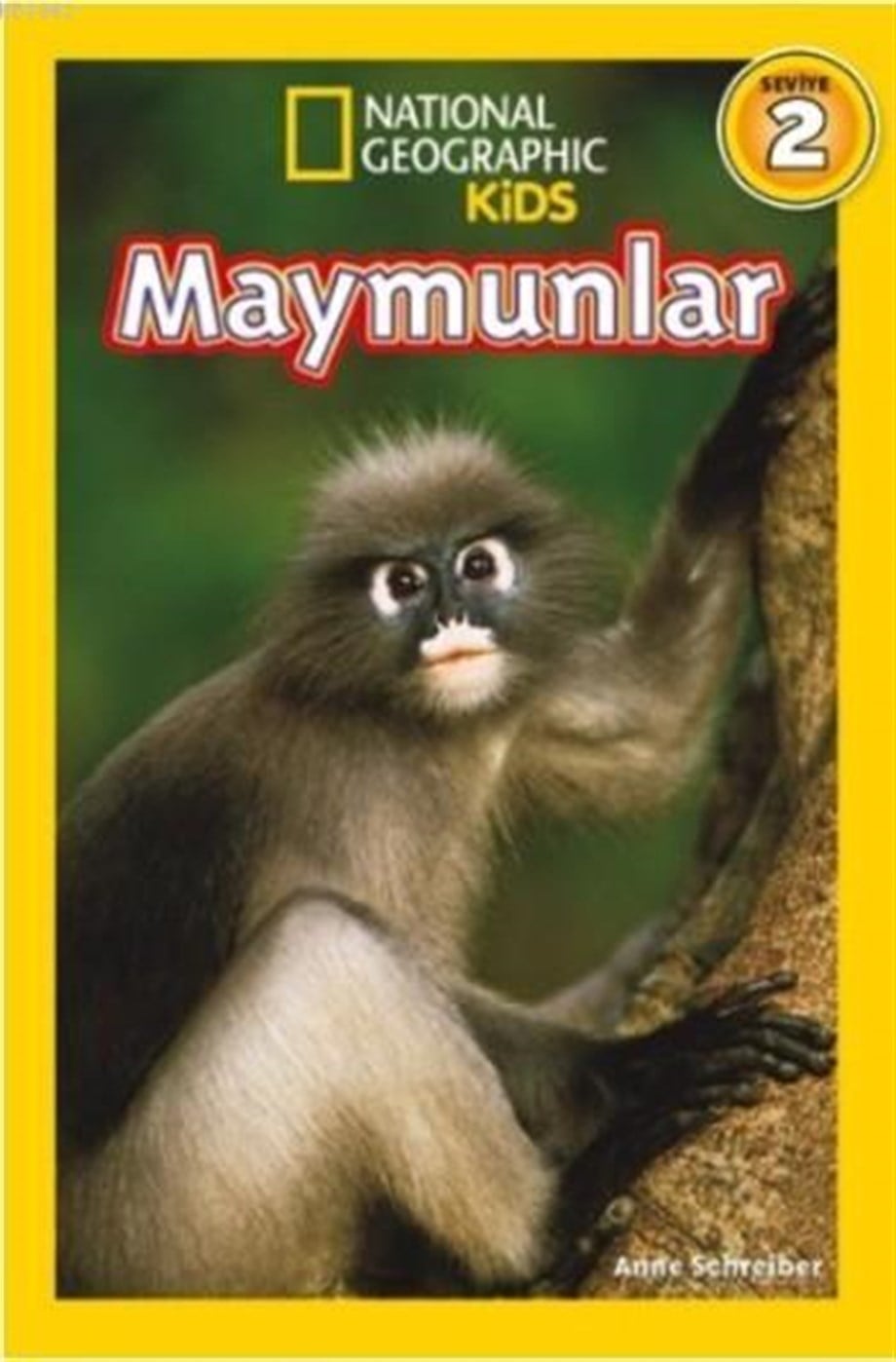 National Geographic Kids  Maymunlar