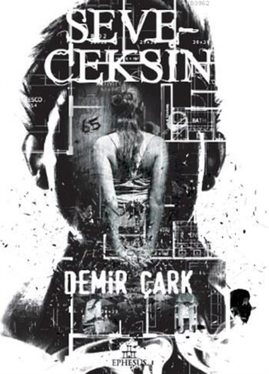 Seveceksin (Ciltli)