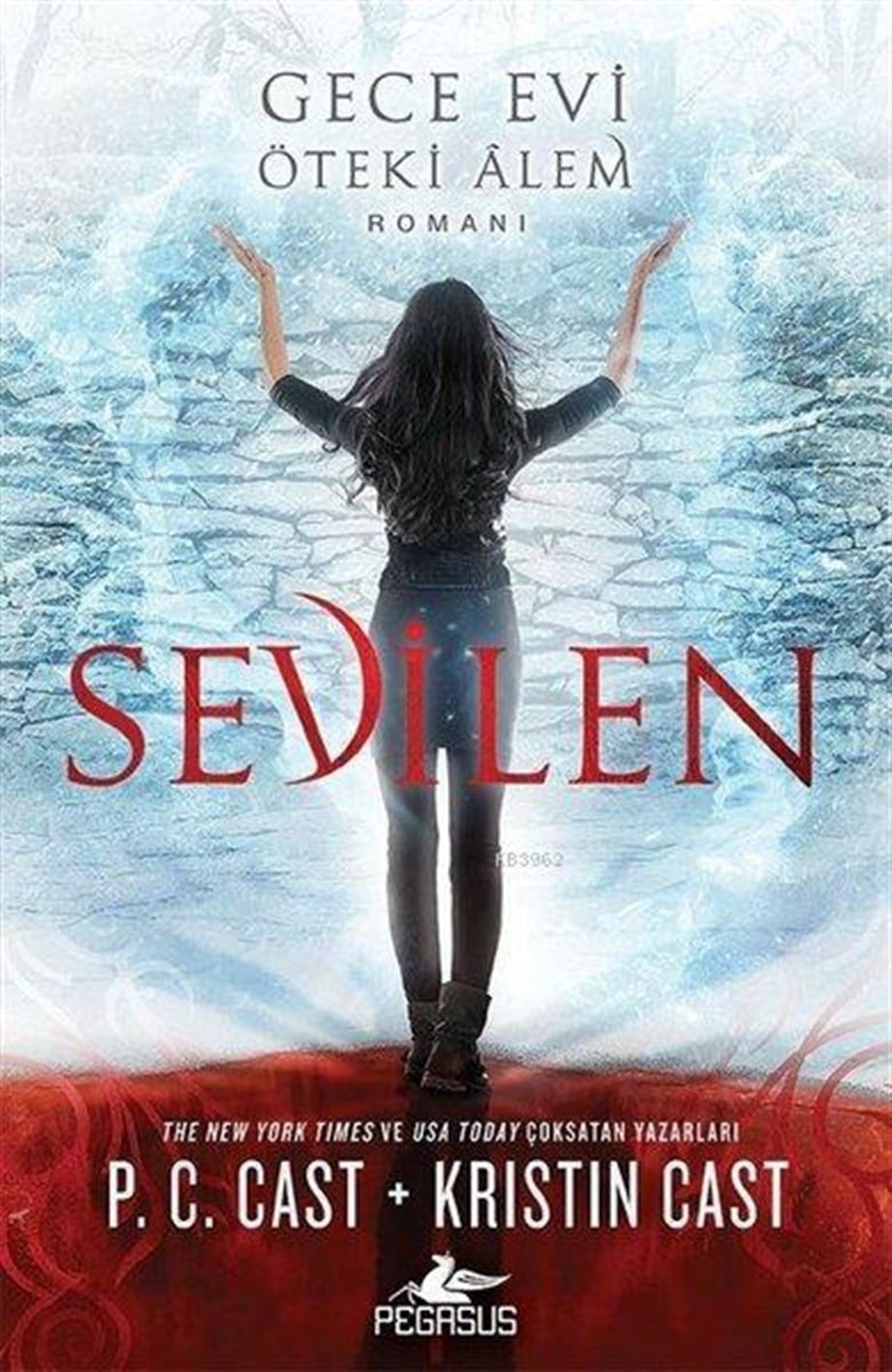 Sevilen; Gece Evi - Öteki Alem Romanı