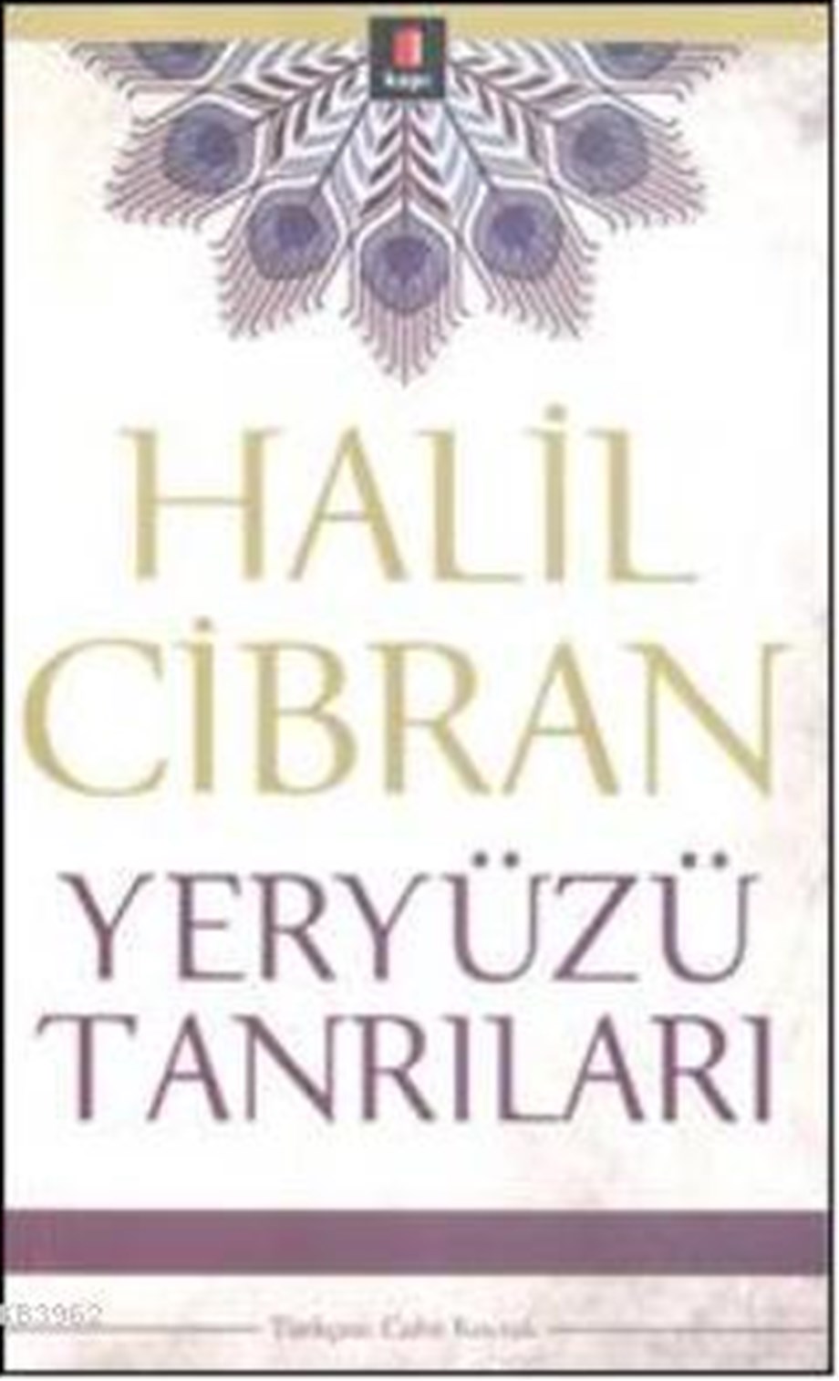 Yeryüzü Tanrıları