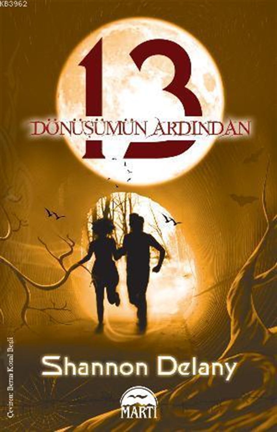 13: Dönüşümün Ardından