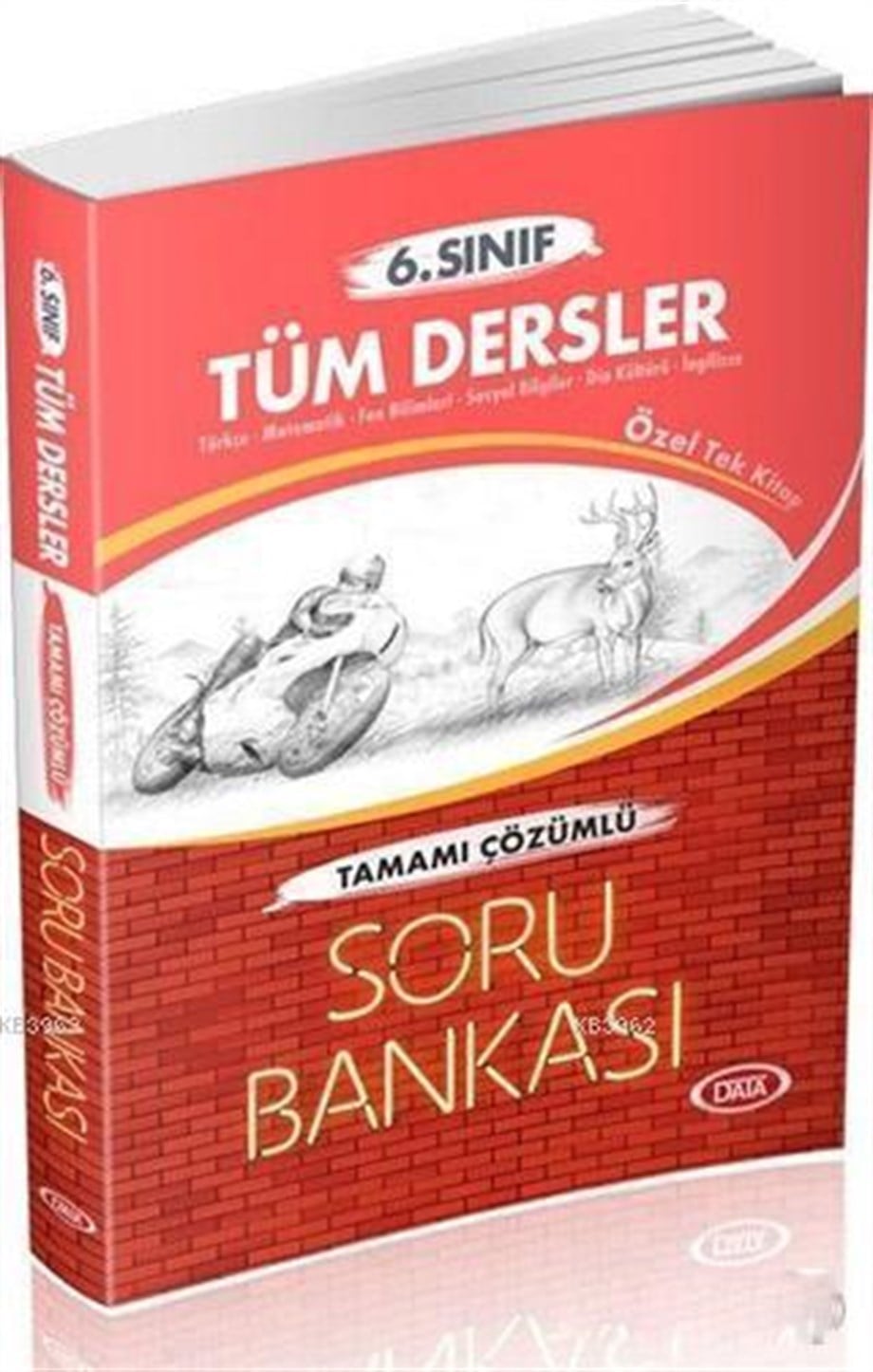 6. Sınıf Tüm Dersler Çözümlü Soru Bankası
