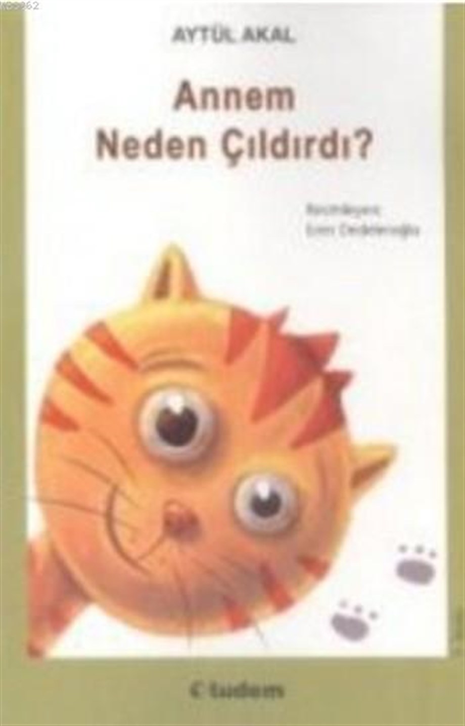 Annem Neden Çıldırdı?