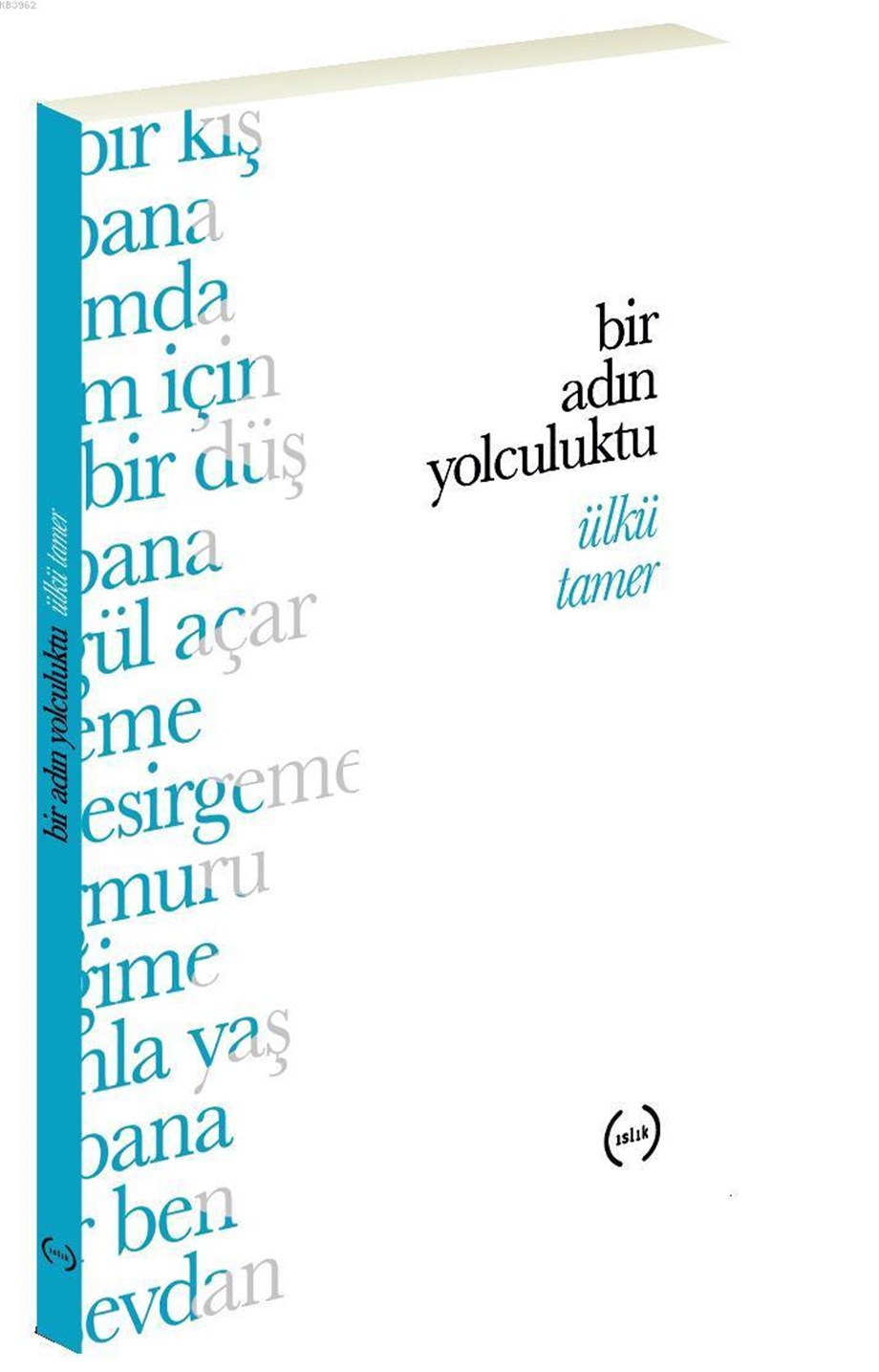 Bir Adın Yolculuktu