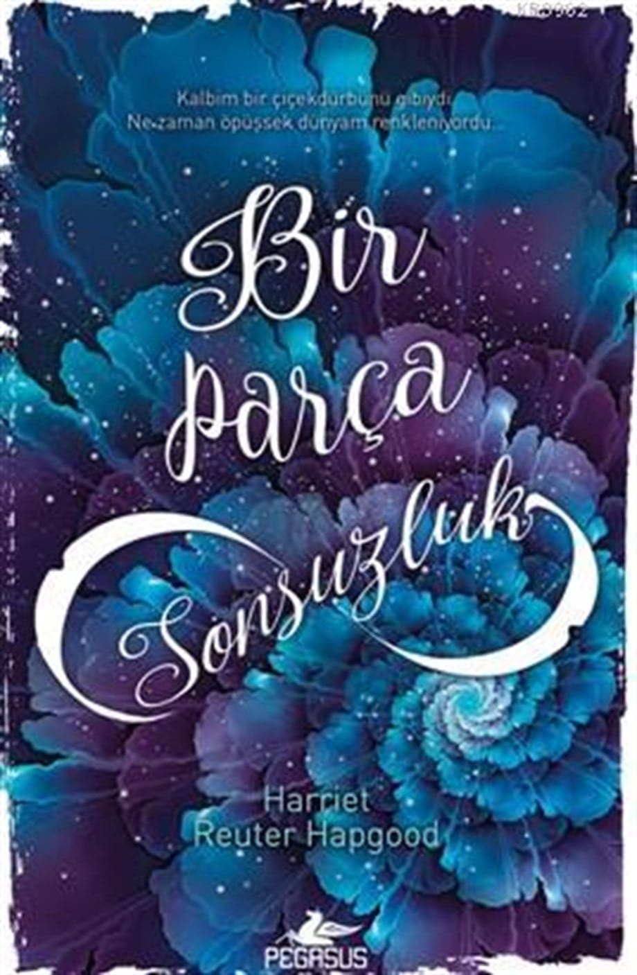 Bir Parça Sonsuzluk (Ciltli)
