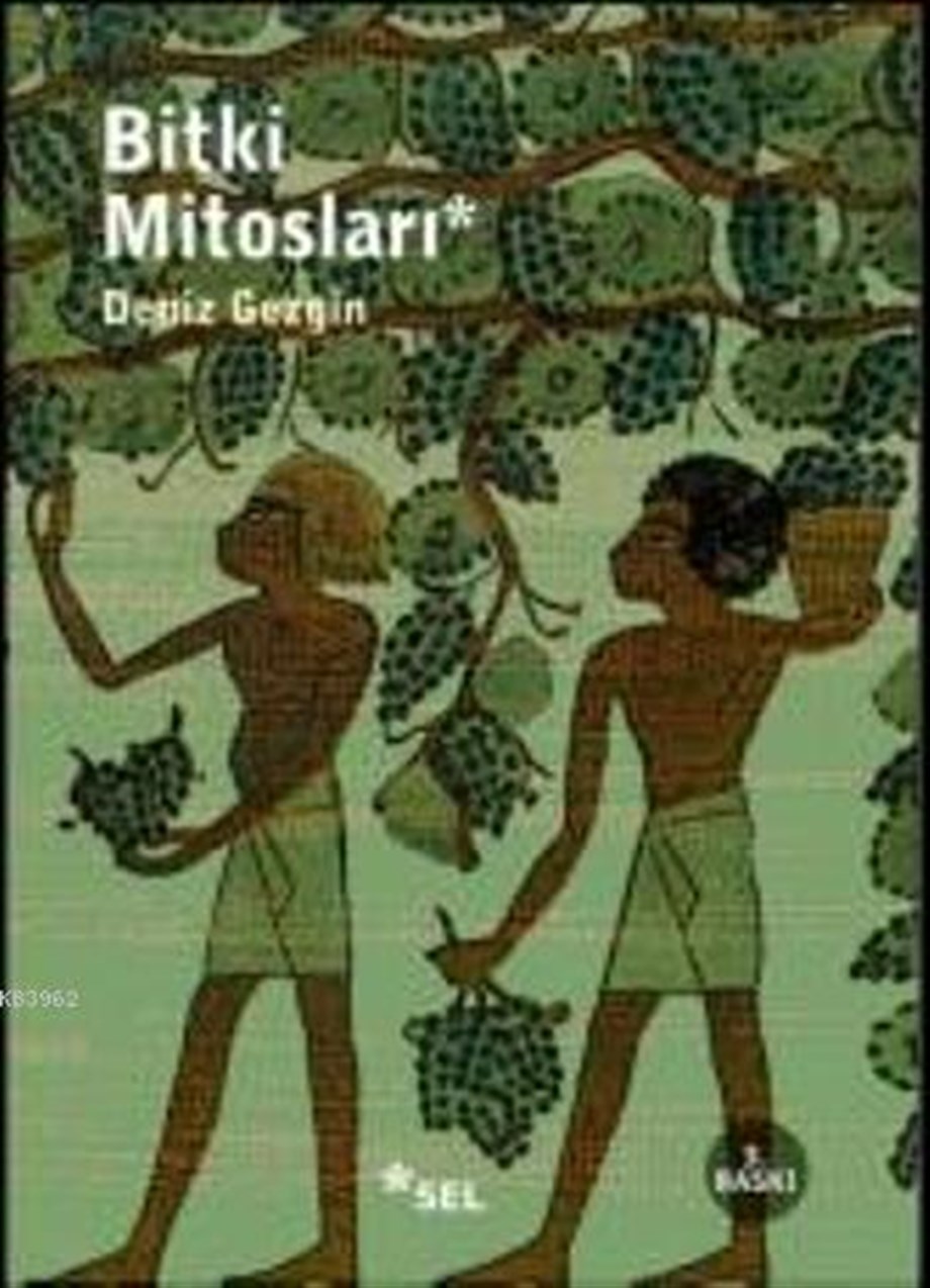 Bitki Mitosları
