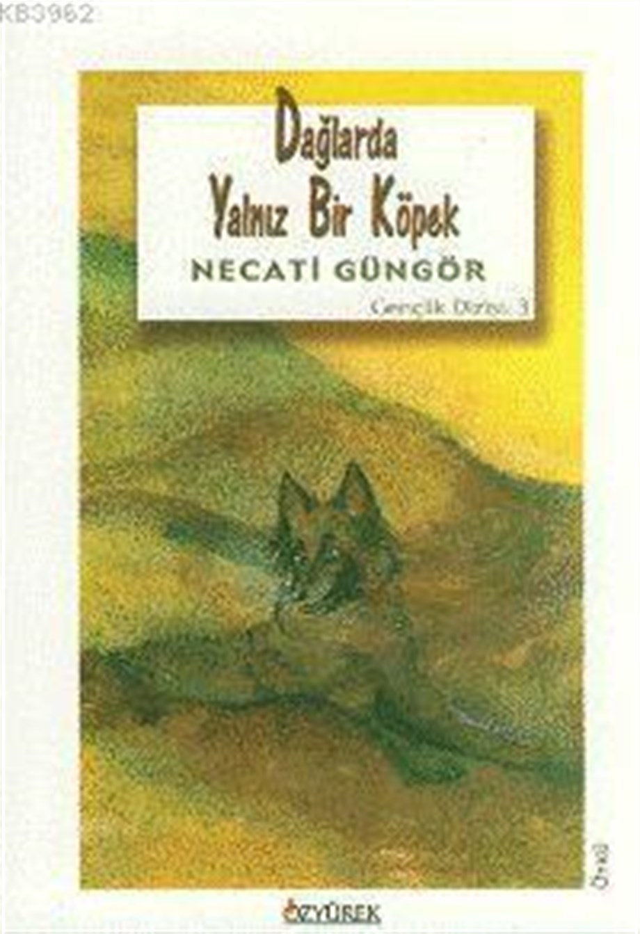 Dağlarda Yalnız Bir Köpek 