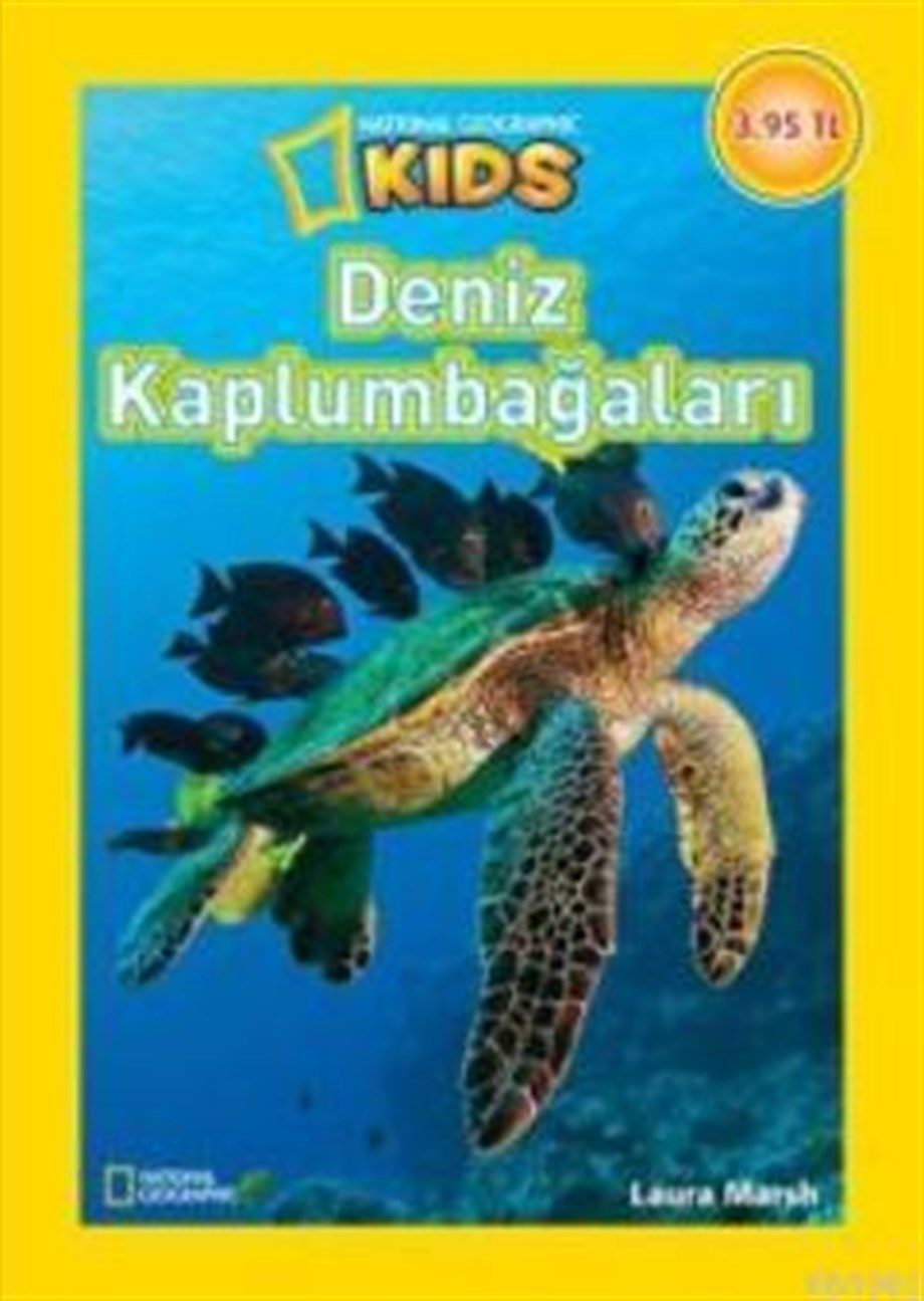 Deniz Kaplumbağaları