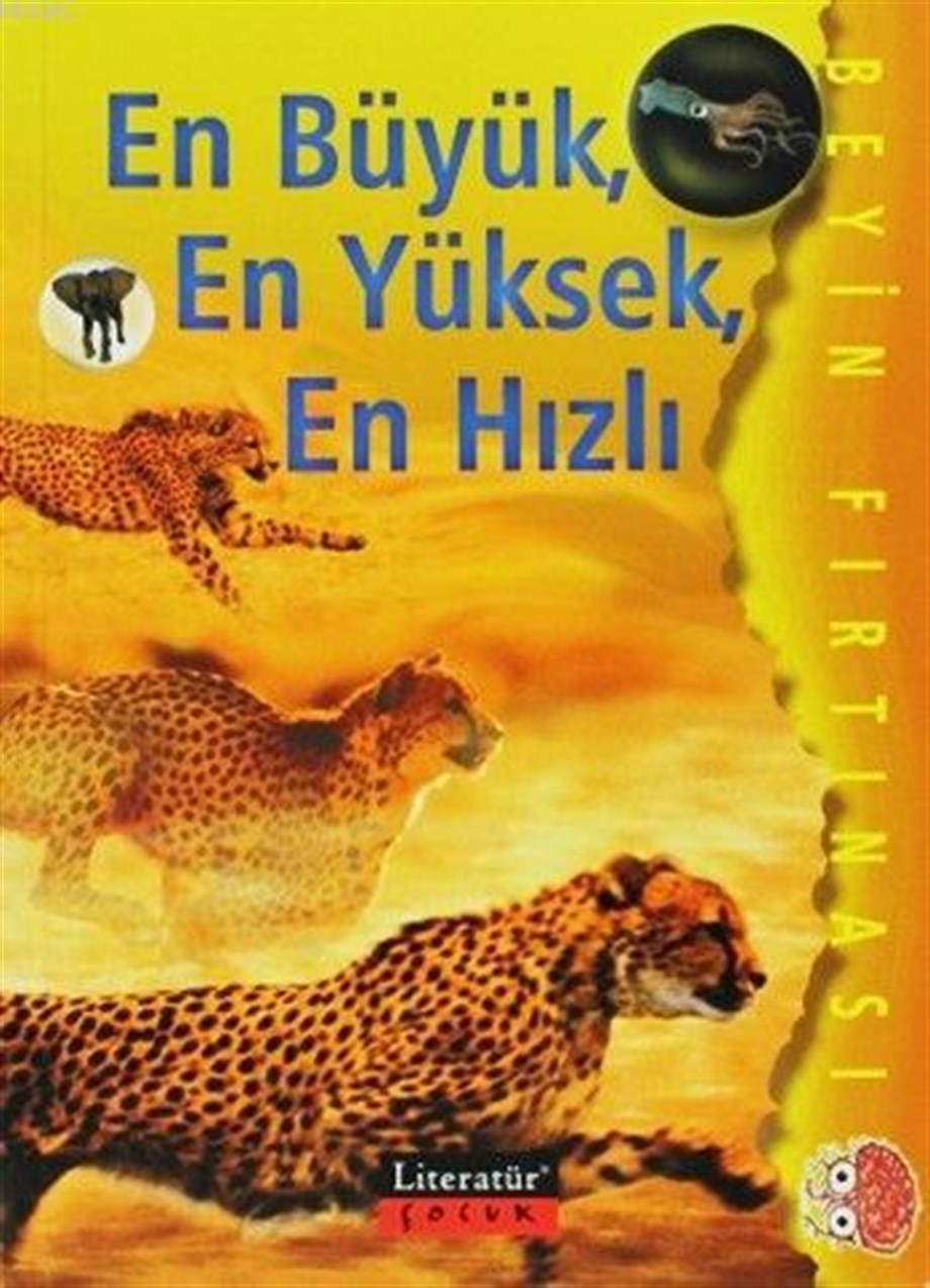 En Büyük, En Yüksek, En Hızlı; Beyin Fırtınası