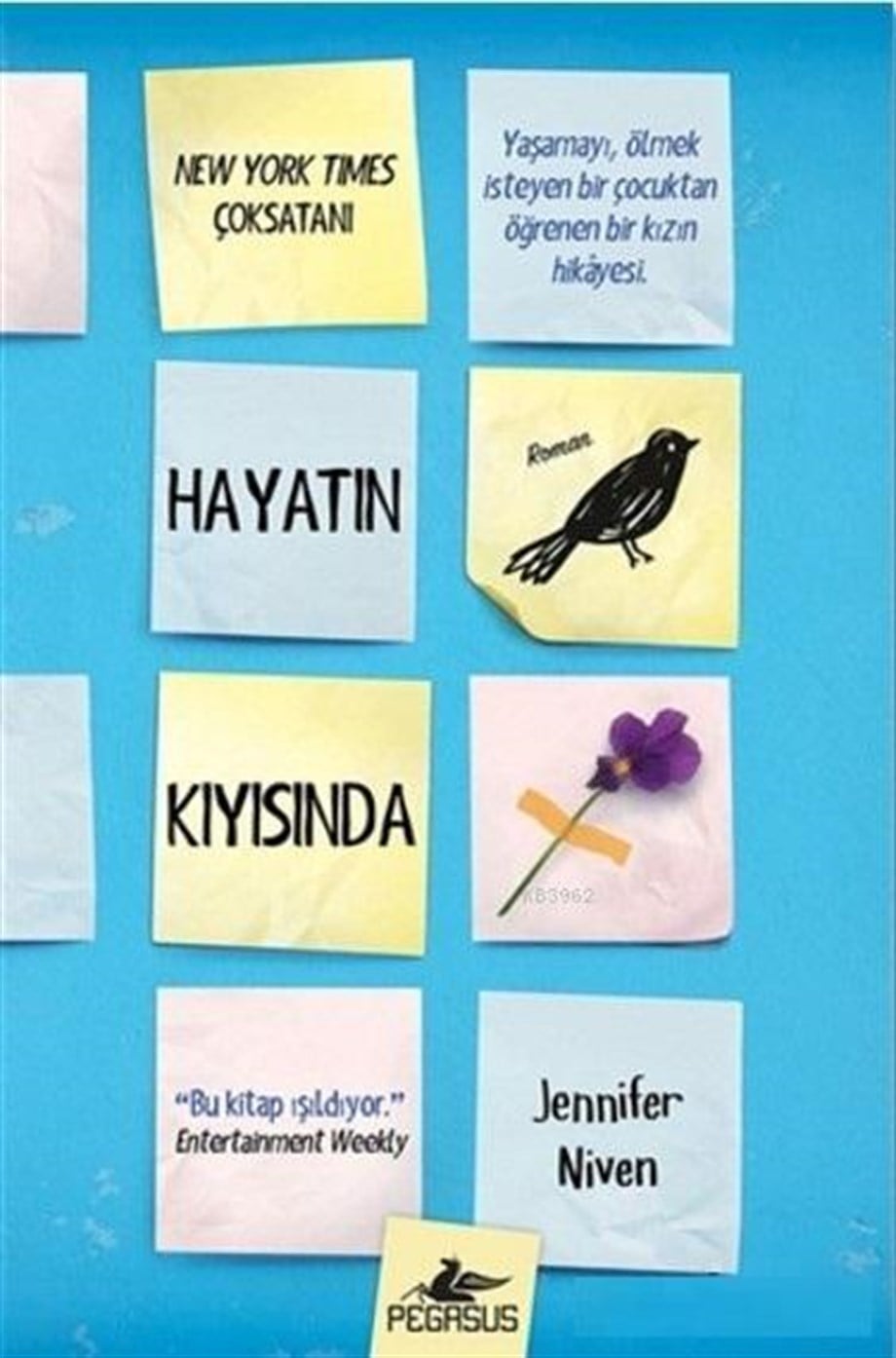 Hayatın Kıyısında