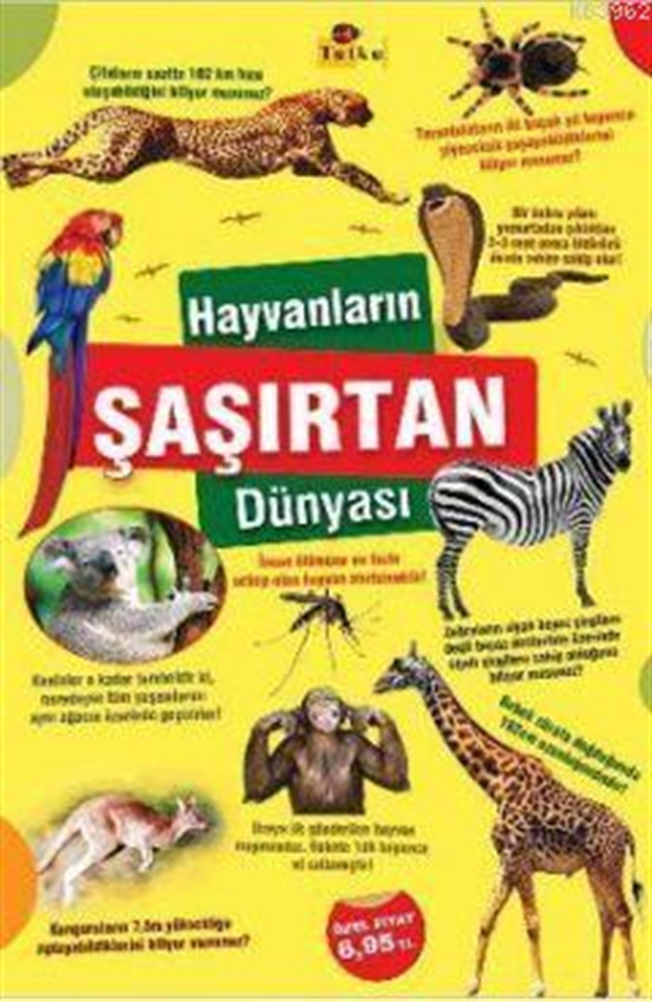 Hayvanların Şaşırtan Dünyası
