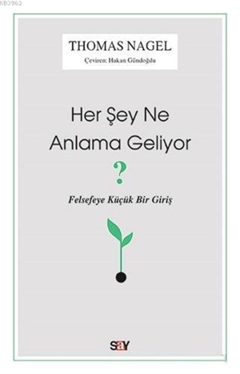 Her Şey Ne Anlama Geliyor?; Felsefeye Küçük Bir Giriş