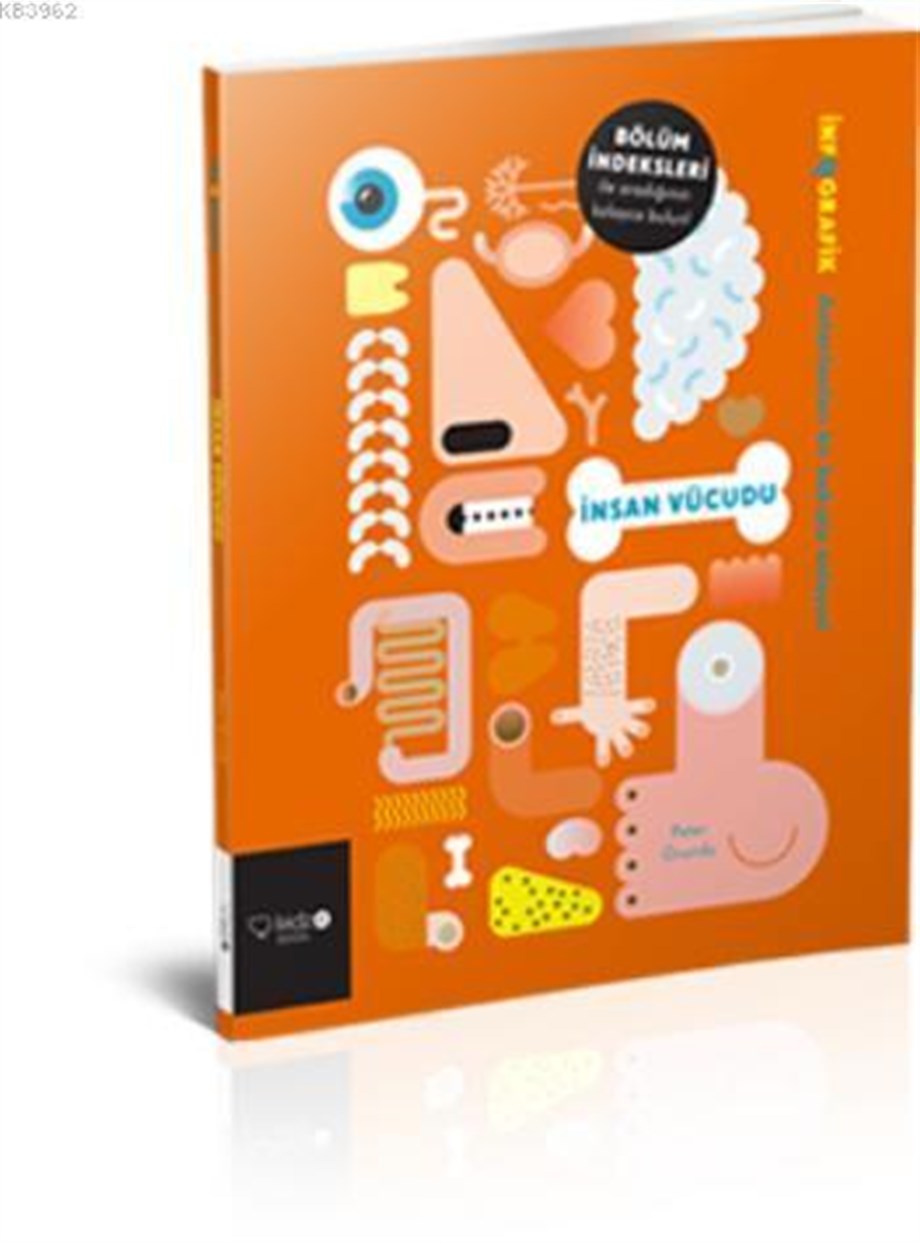 İnsan Vücudu; İnfografik Serisi