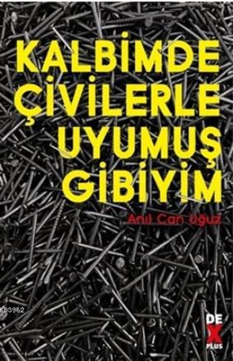 Kalbimde Çivilerle Uyumuş Gibiyim
