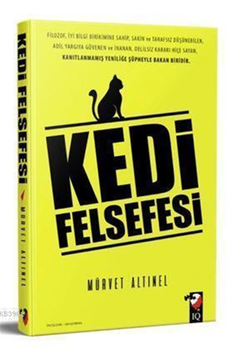 Kedi Felsefesi