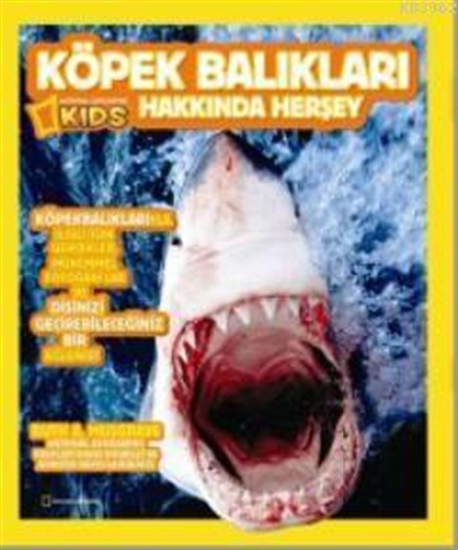 Köpek Balıkları Hakkında Her Şey