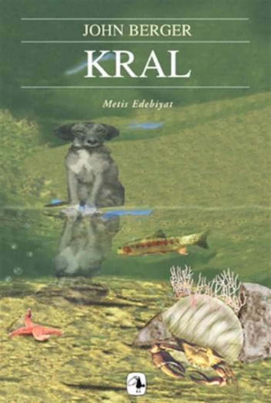 Kral; Bir Sokak Hikayesi