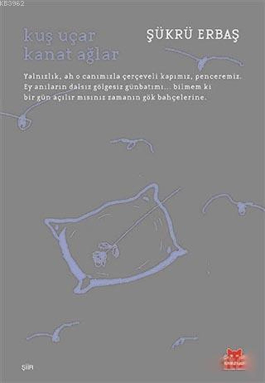 Kuş Uçar Kanat Ağlar