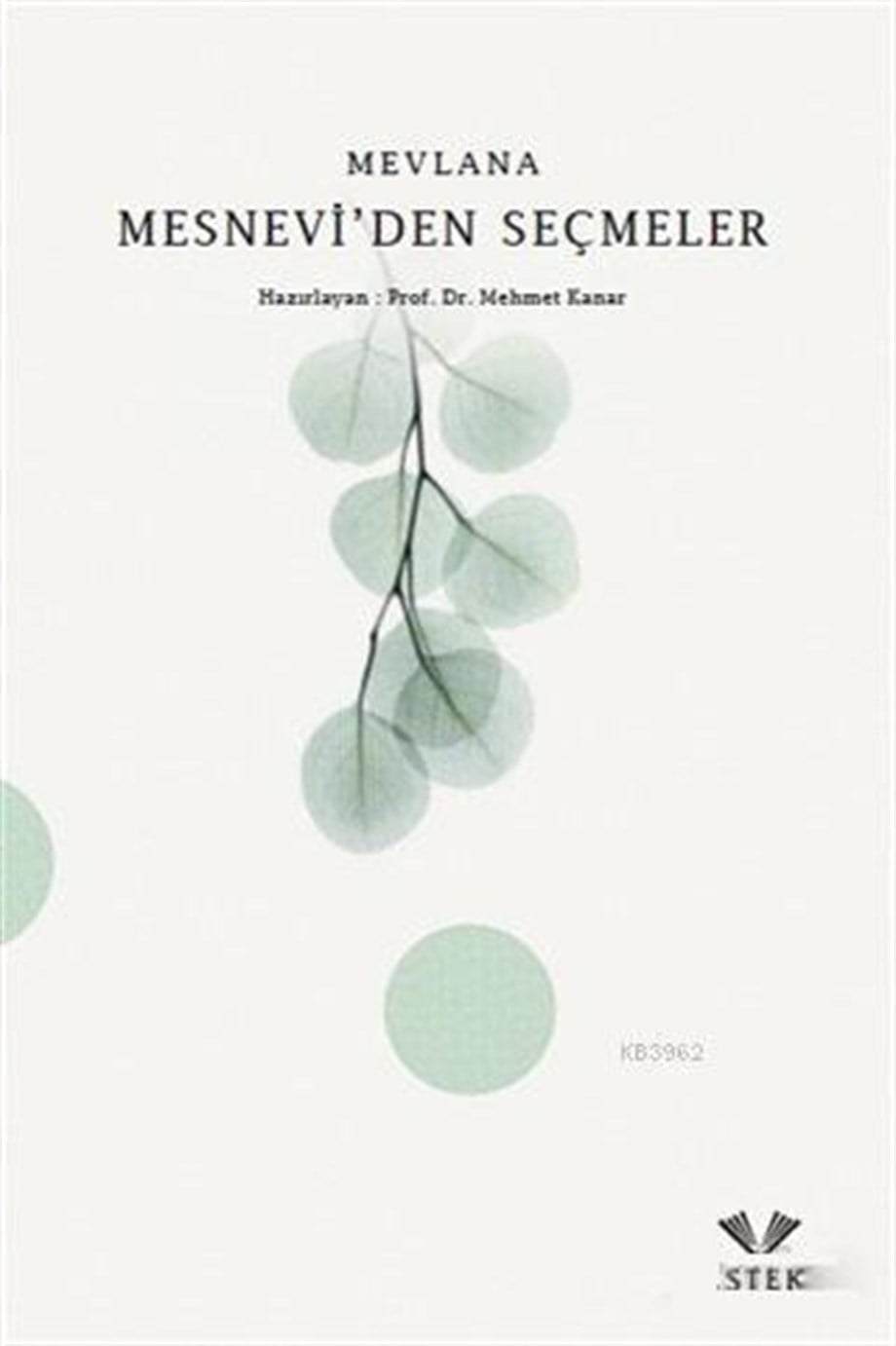 Mesnevi'den Seçmeler