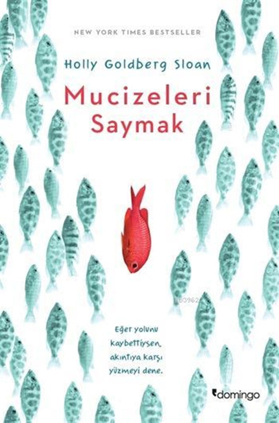 Mucizeleri Saymak