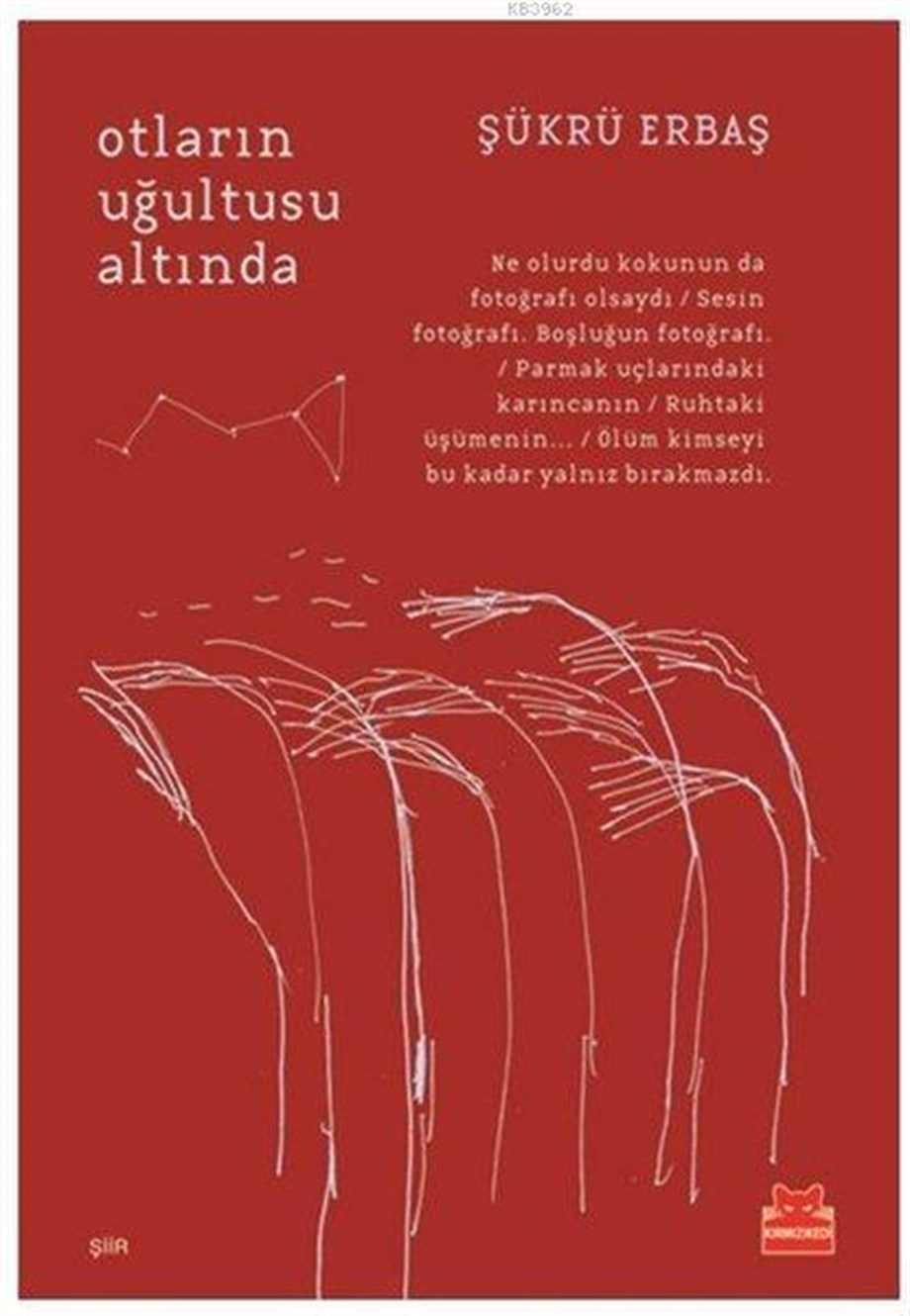 Otların Uğultusu Altında
