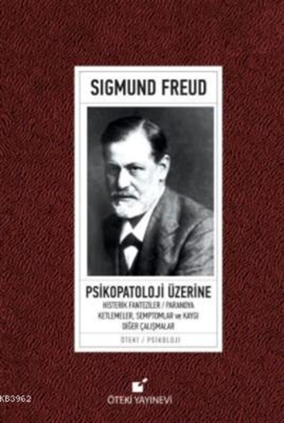 Psikopatoloji Üzerine (Ciltli); Yaklaşımlar