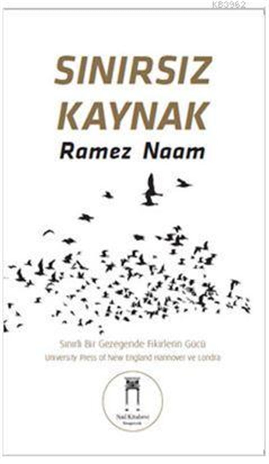 Sınırsız Kaynak; Sınırlı Bir Gezegende Fikirlerin Gücü