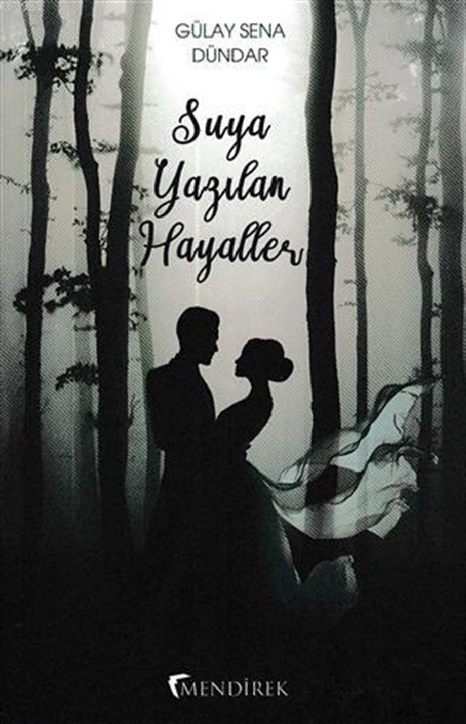 Suya Yazılan Hayaller; Gölgede Dans Serisi 1