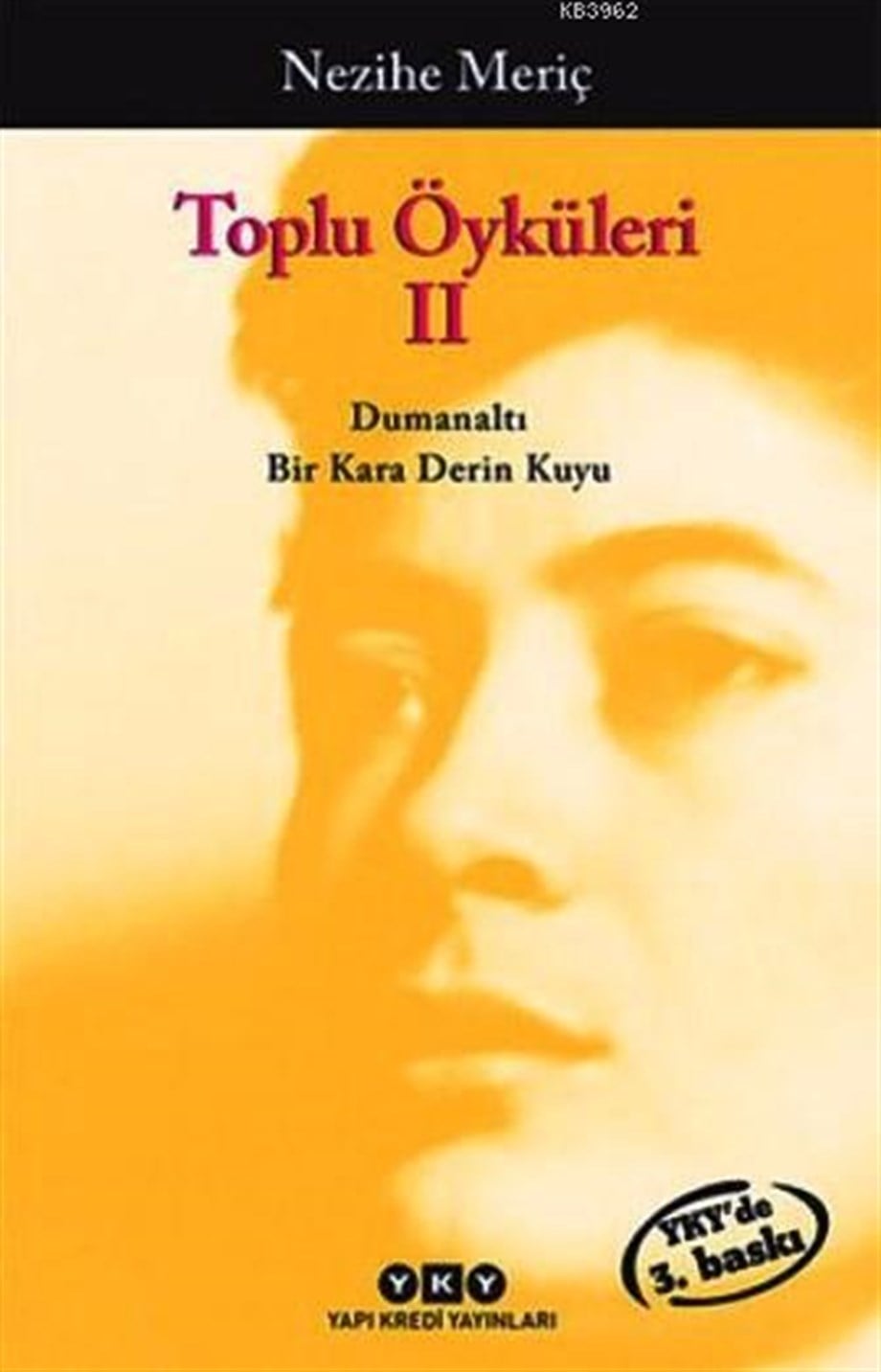 Toplu Öyküleri 2; Bütün Yapıtlarına Doğru