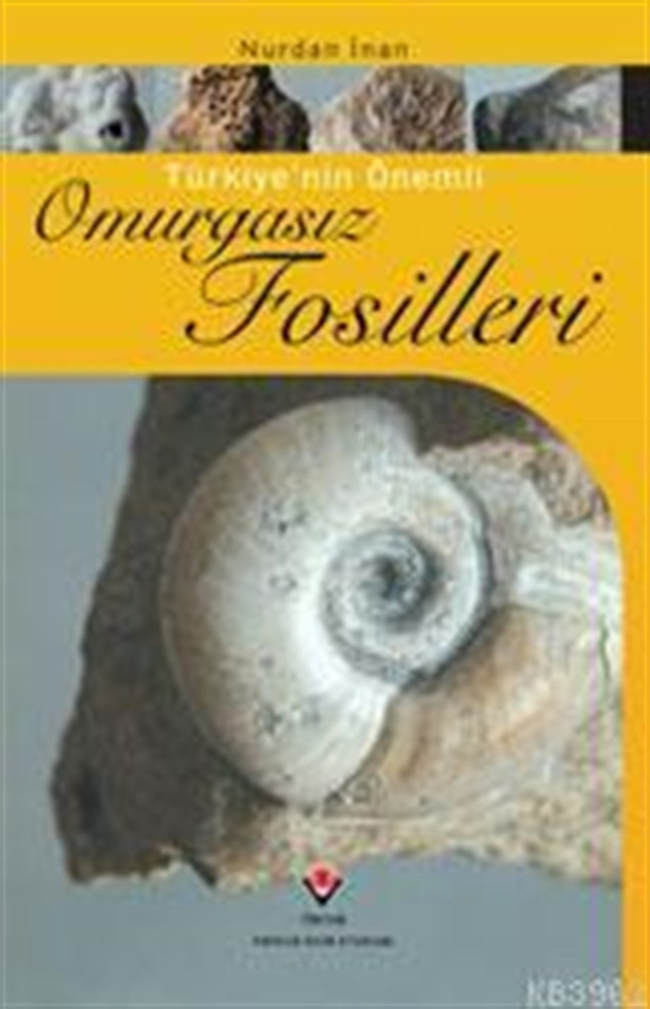 Türkiye´nin Önemli Omurgasız Fosilleri